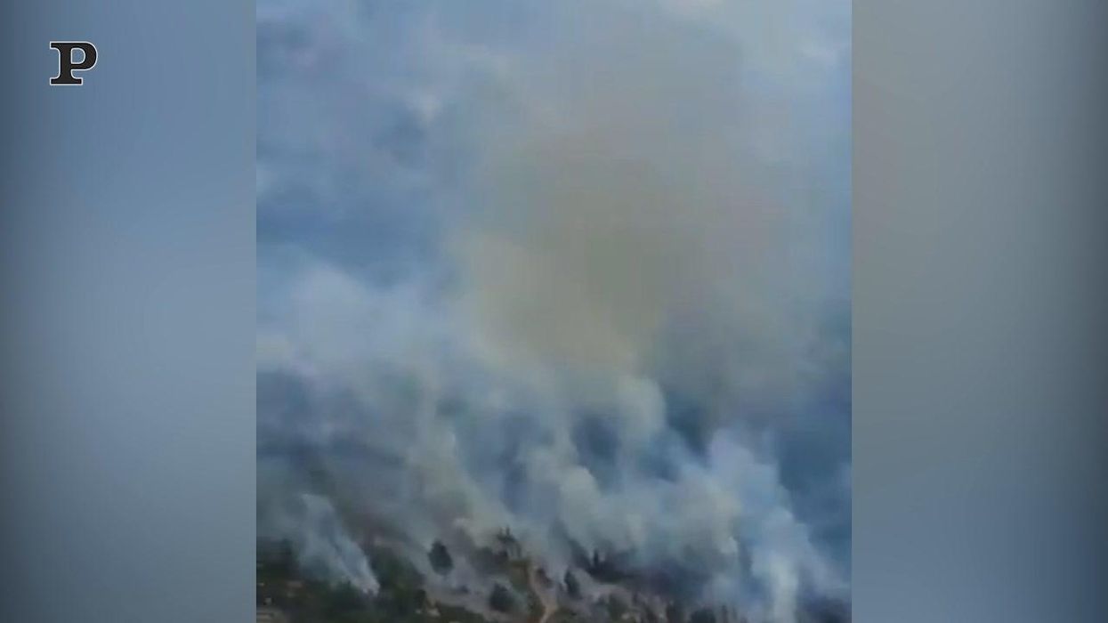 Argentina, disastro ambientale a causa di grandi incendi nei boschi | video