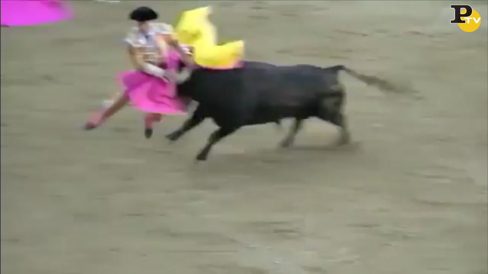ivan fandino corrida torero incornata