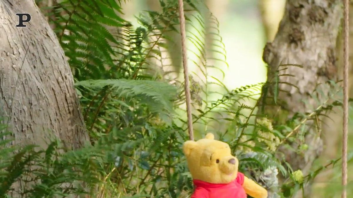 La casa di Winnie the Pooh approda su Airbnb | video