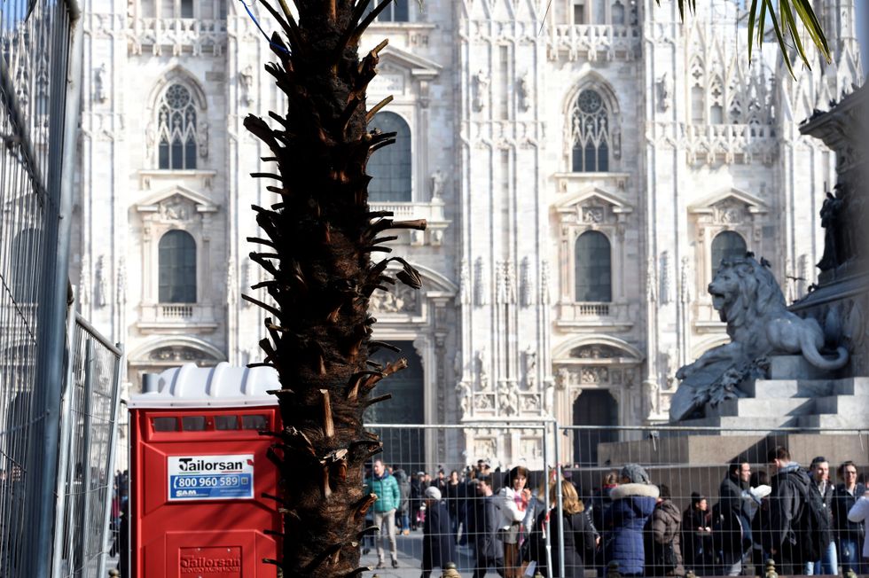 La palma bruciata dai vandali a Milano