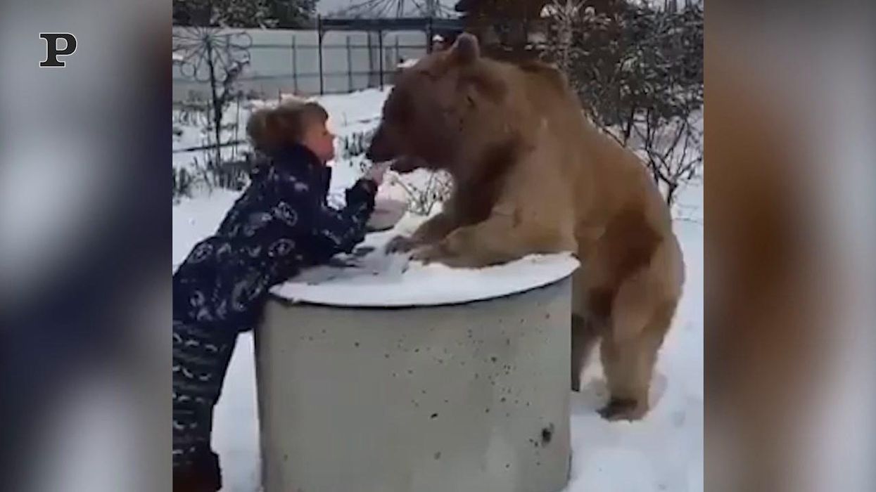La tenera amicizia tra un orso ed una bambina | video