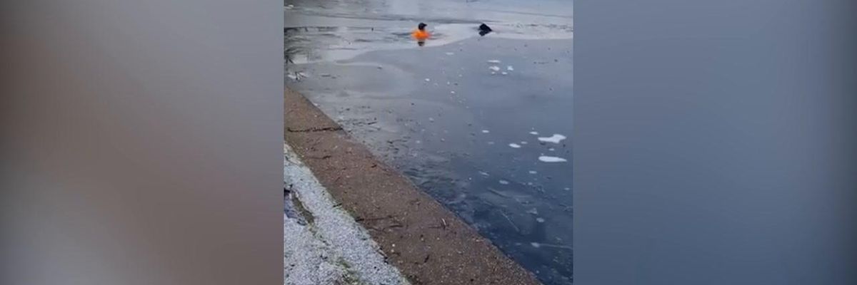 Si getta nel lago ghiacciato per salvare il cane | video