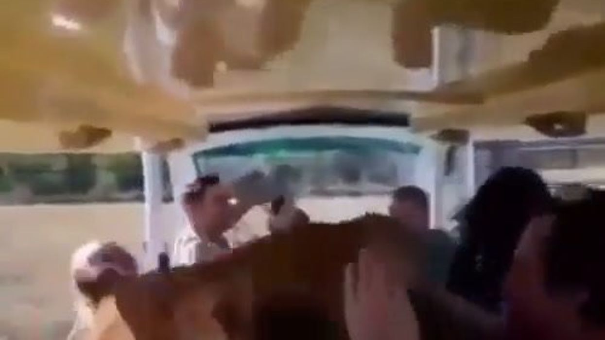 Leonessa nella savana salta nell'auto dei turisti e.. vuole le coccole | video