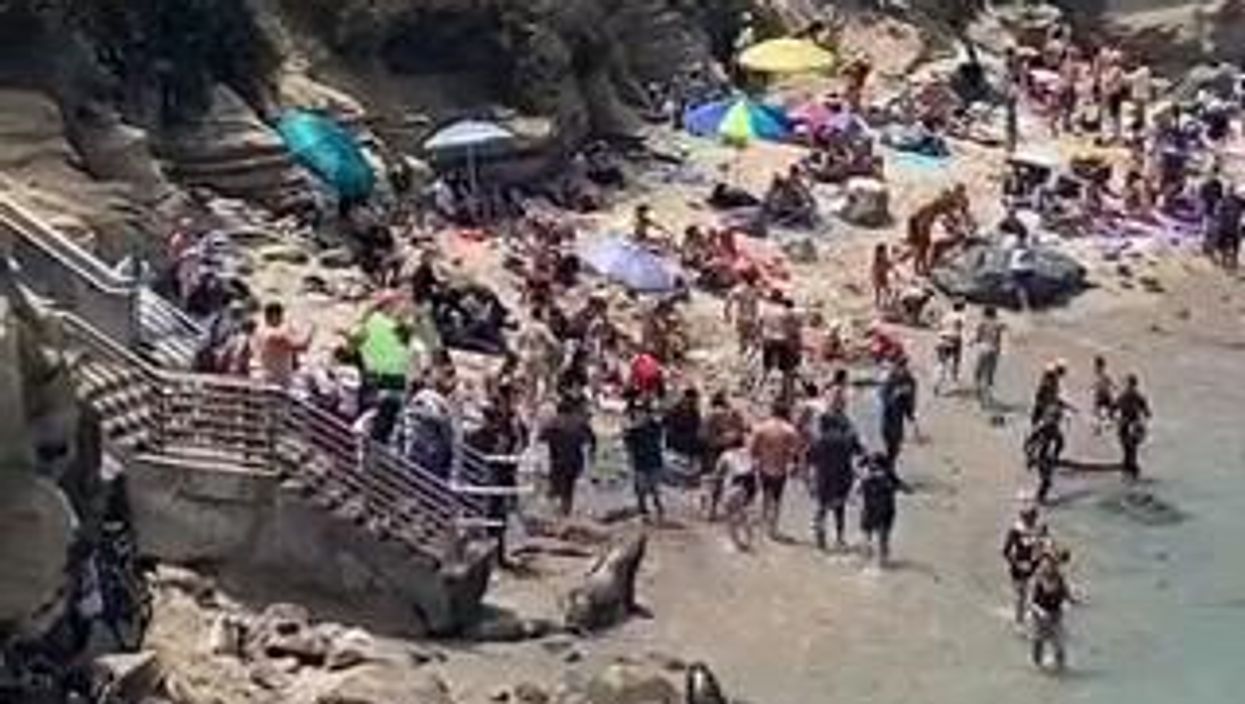 San Diego, leoni marini attaccano bagnanti in spiaggia I video