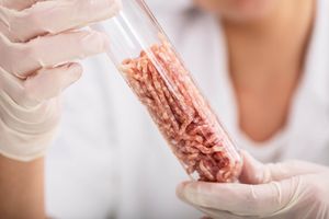 ​Carne prodotta in laboratorio
