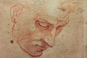 ​Studio di testa per il «Diluvio» (1509-1510), disegno di Michelangelo