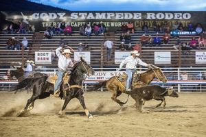 ​Rodeo in Wyoming