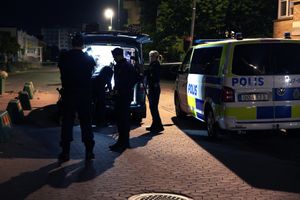 ​Svezia, controllo Polizia