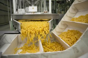 produzione pasta italia