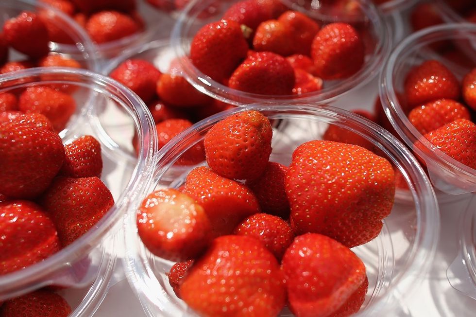 Welcome to Malbosca, a strawberry success story