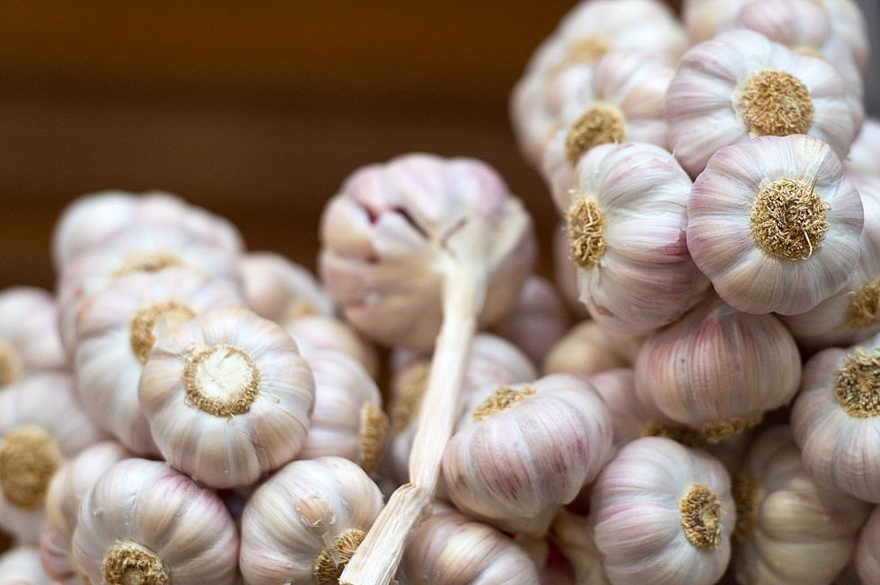 How Italy discovered the kissing garlic
