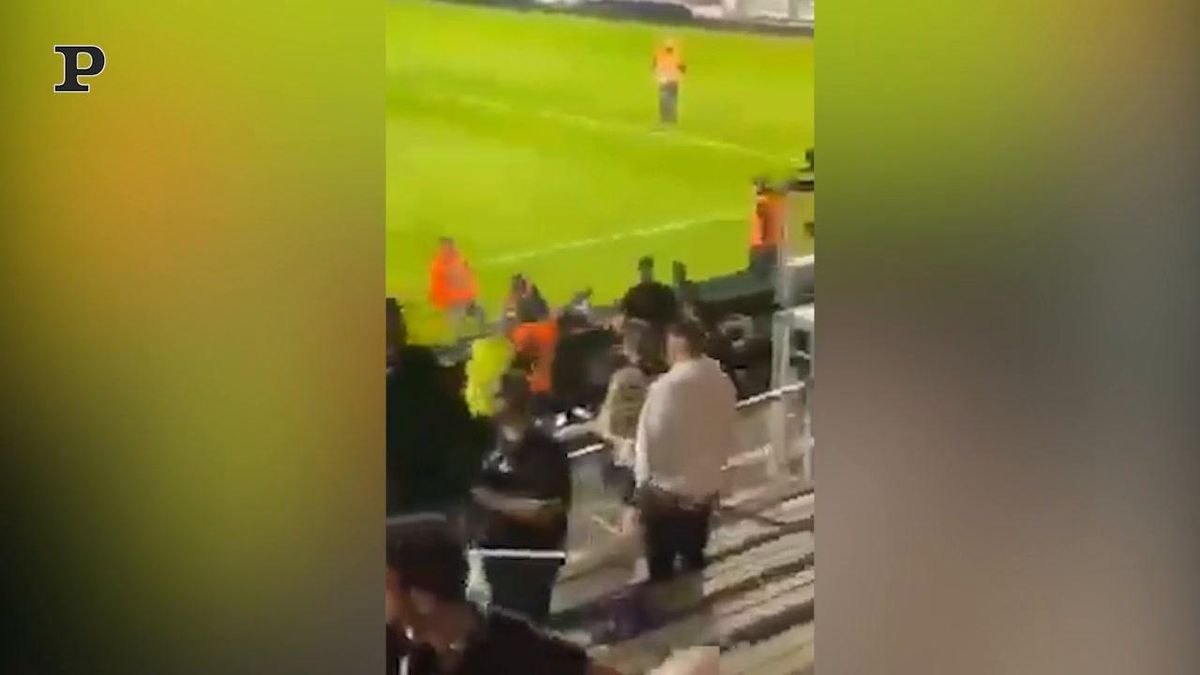 Marsiglia - Angers, rissa tra tifosi dopo lo 0-0 | video