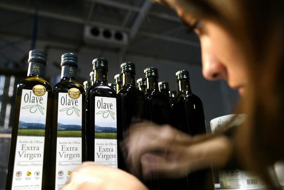 Melbourne hosts the Sol D’Oro International Extra Virgin Olive Oil Competition