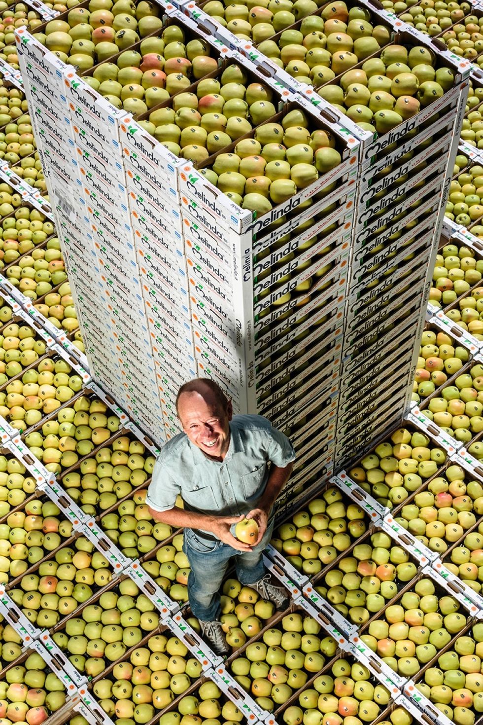 Non solo mele per il consorzio della frutta