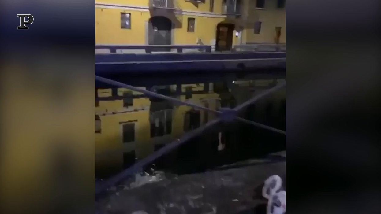 Milano, fa il bagno nel naviglio a gennaio per sfidare la polizia | video