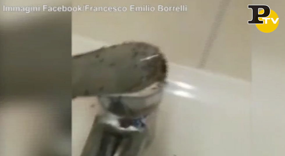 Napoli: ancora formiche all'ospedale video