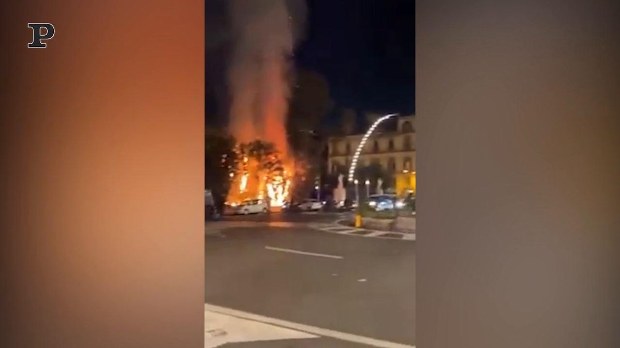 Napoli, incendio nella Villa Comunale: distrutti alcuni alberi secolari | Video