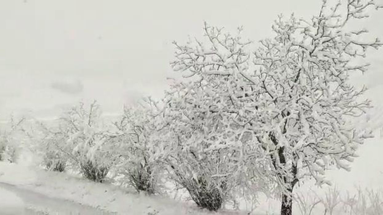 Maltempo: intense nevicate ricoprono le colline del Pavese