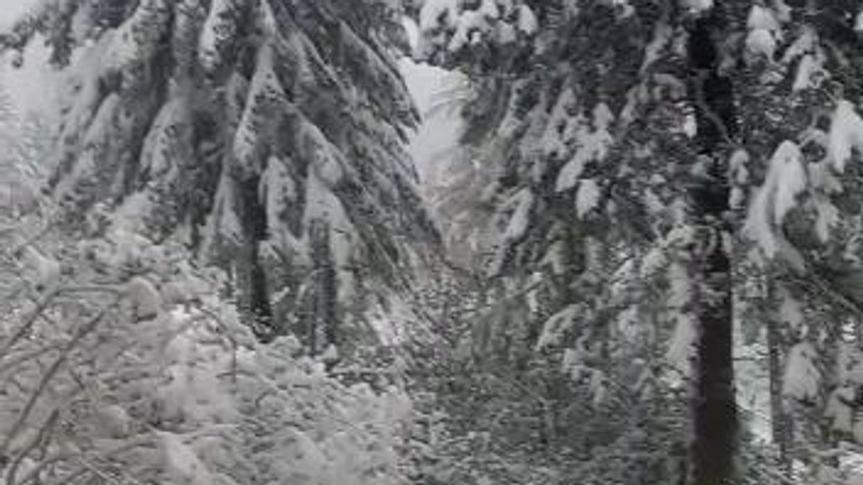 La neve copre tutto l'Appennino | video