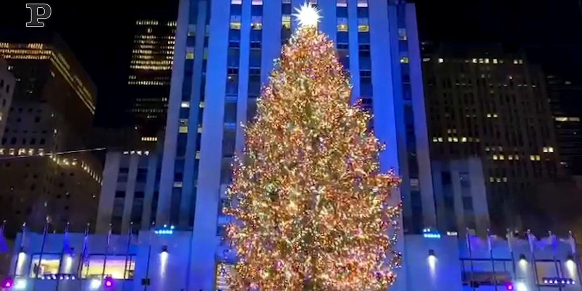 New York, si accende l'albero di Natale al Rockefeller Center | video