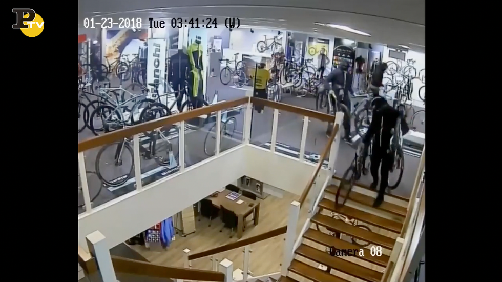 olanda video ladri biciclette negozio 100 mila euro