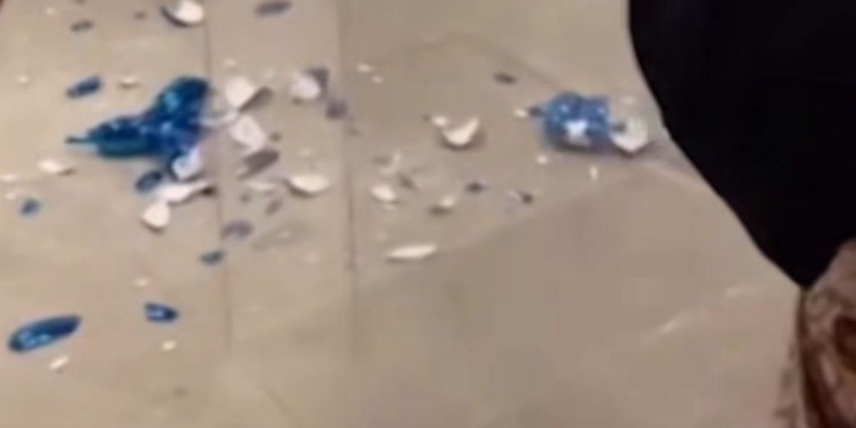 Opera Jeff Koons distrutta da una visitatrice a Miami: la scultura valeva 40mila euro | video