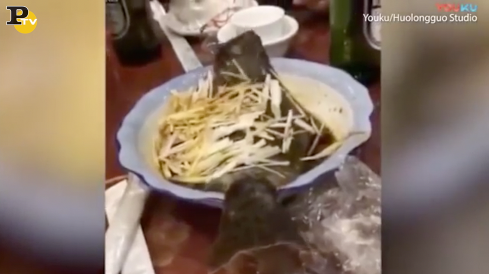 pesce vivo nel piatto salta sul tavolo ristorante Cina video