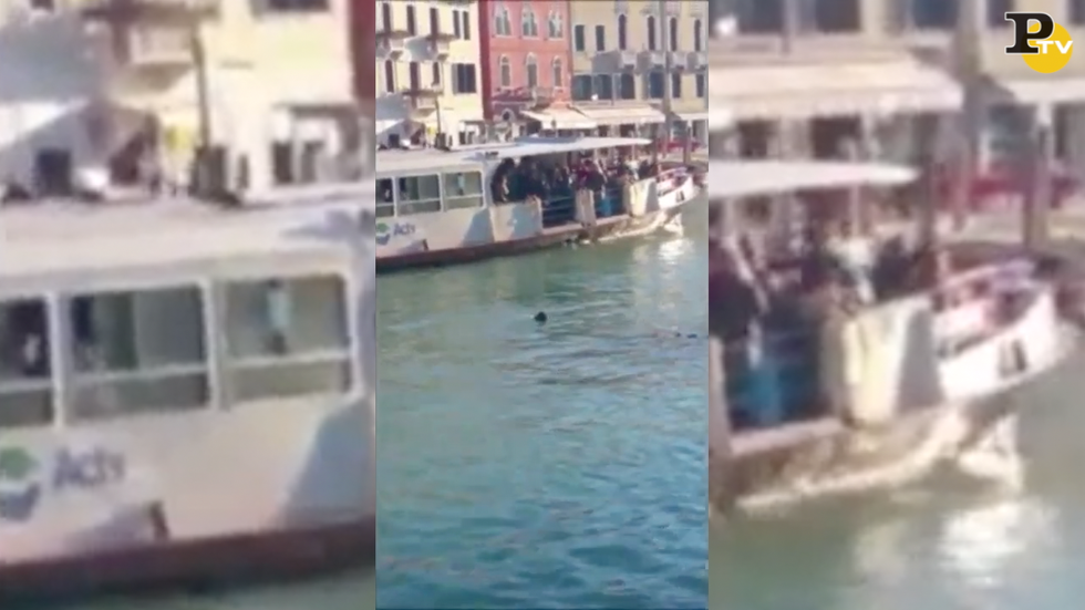 profugo annega canal grande venezia video