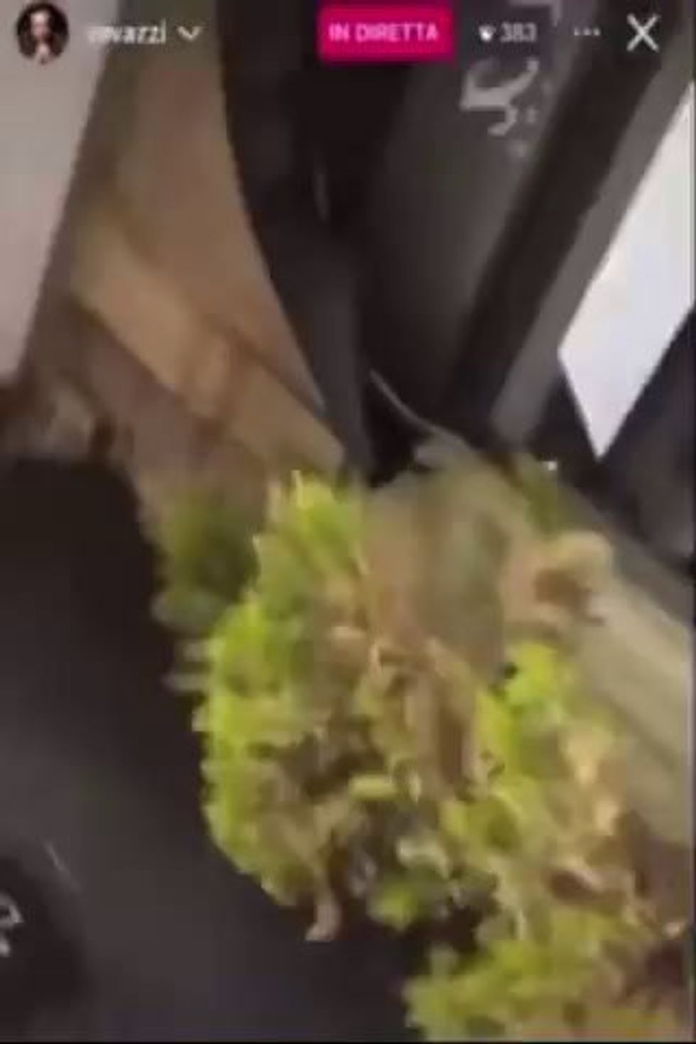 Rovazzi derubato del telefono a Milano durante una diretta Instagram I video