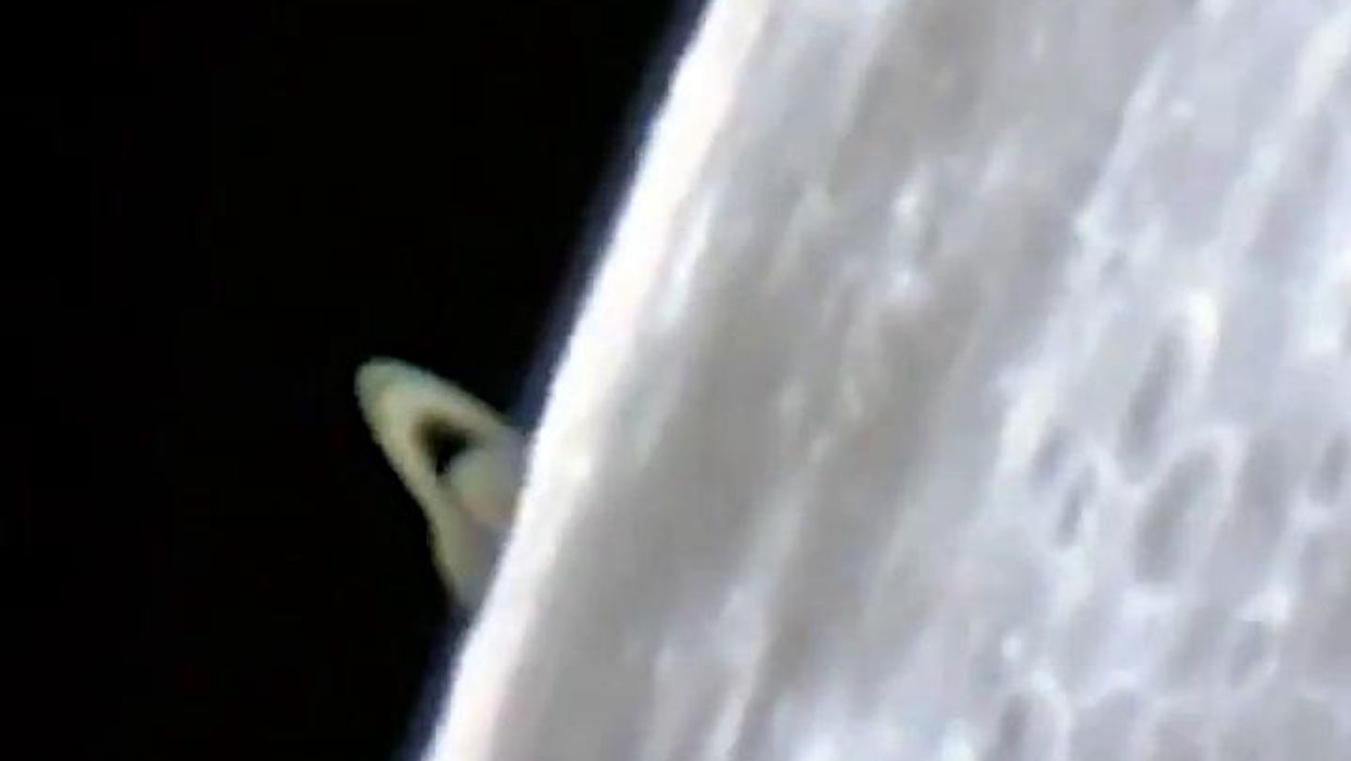 Saturno sorge dietro la Luna | video