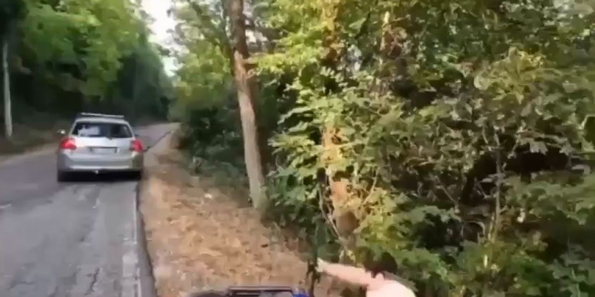 Scivola dal dirupo in bicicletta e precipita nei rovi del fitto bosco, rotolando | video