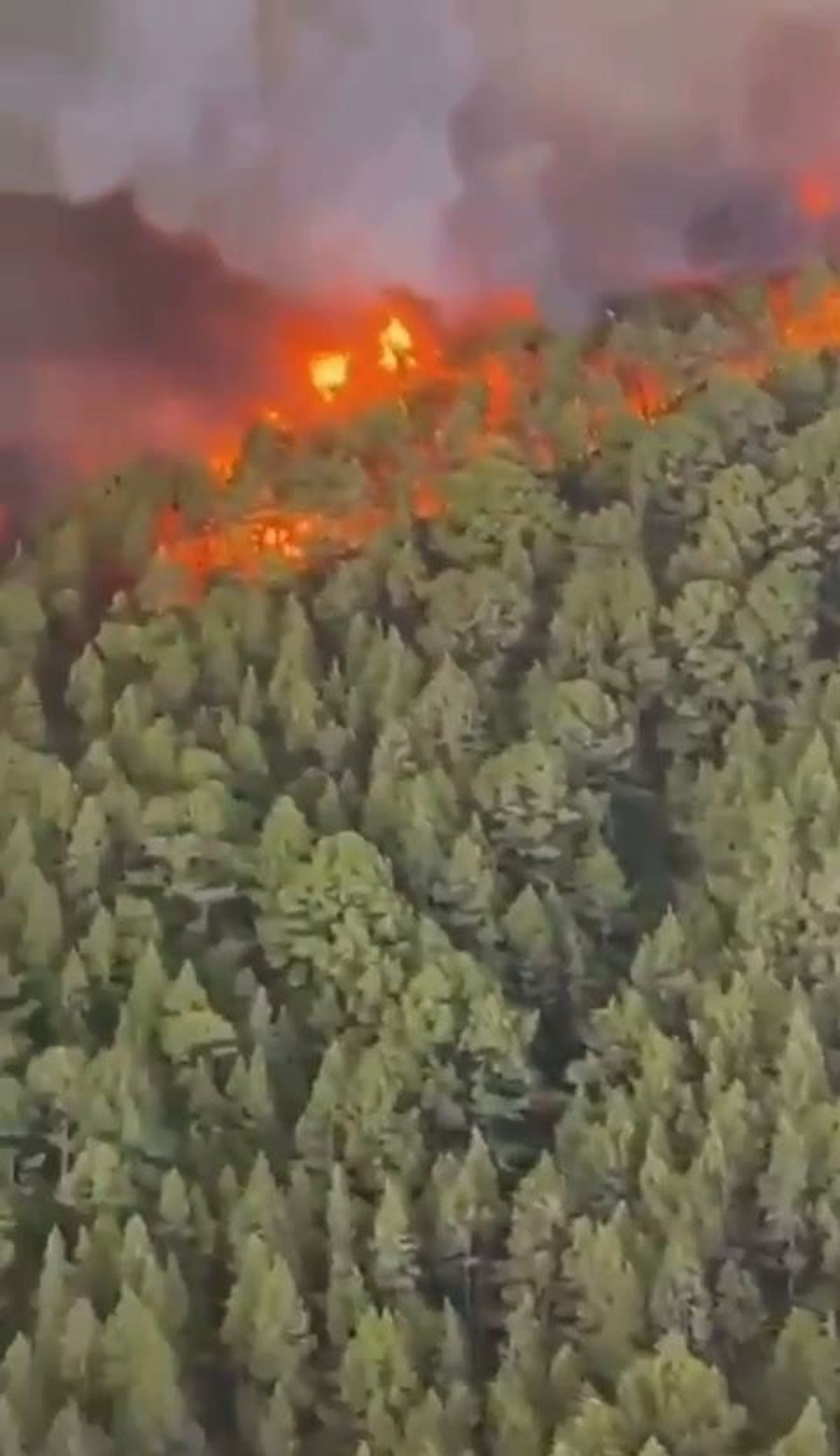 Incendi a Tenerife, in fiamme il parco del Teide | video