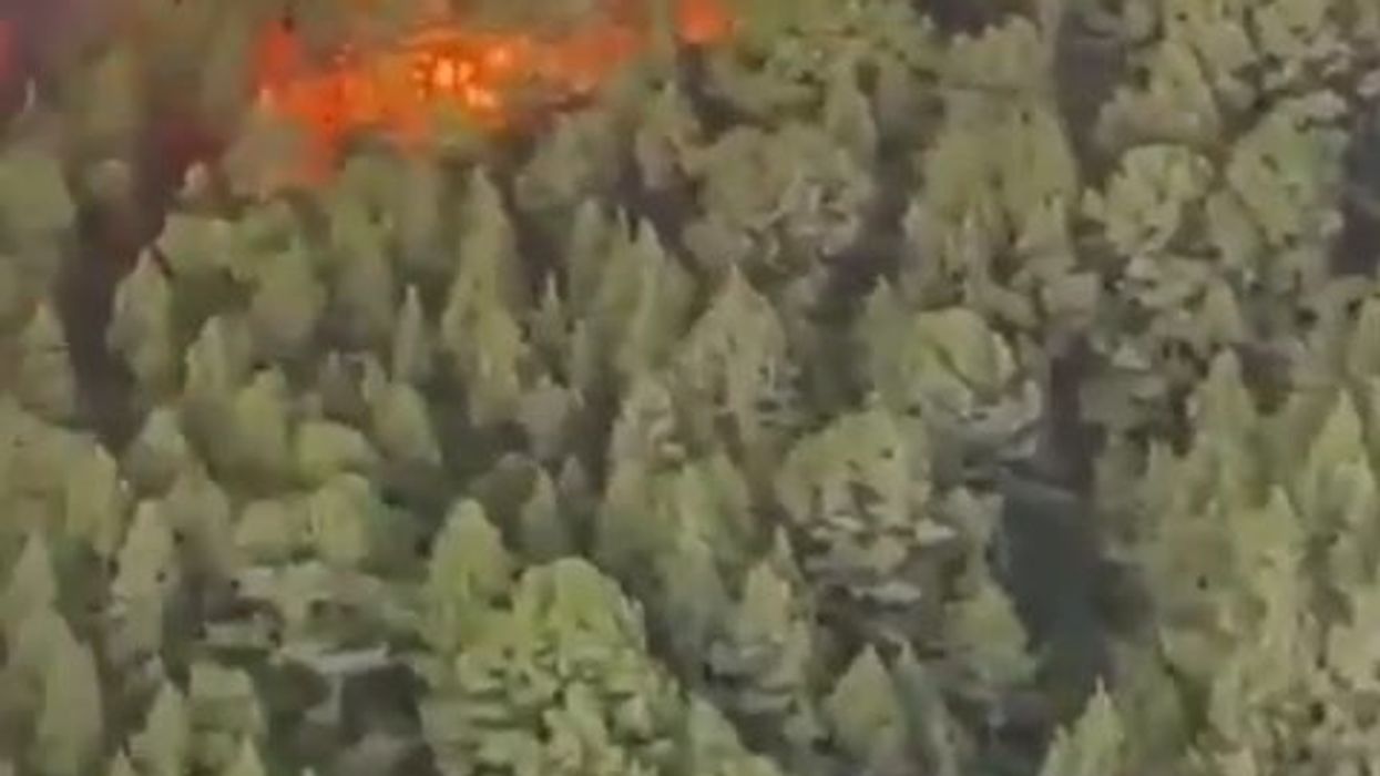 Incendi a Tenerife, in fiamme il parco del Teide | video