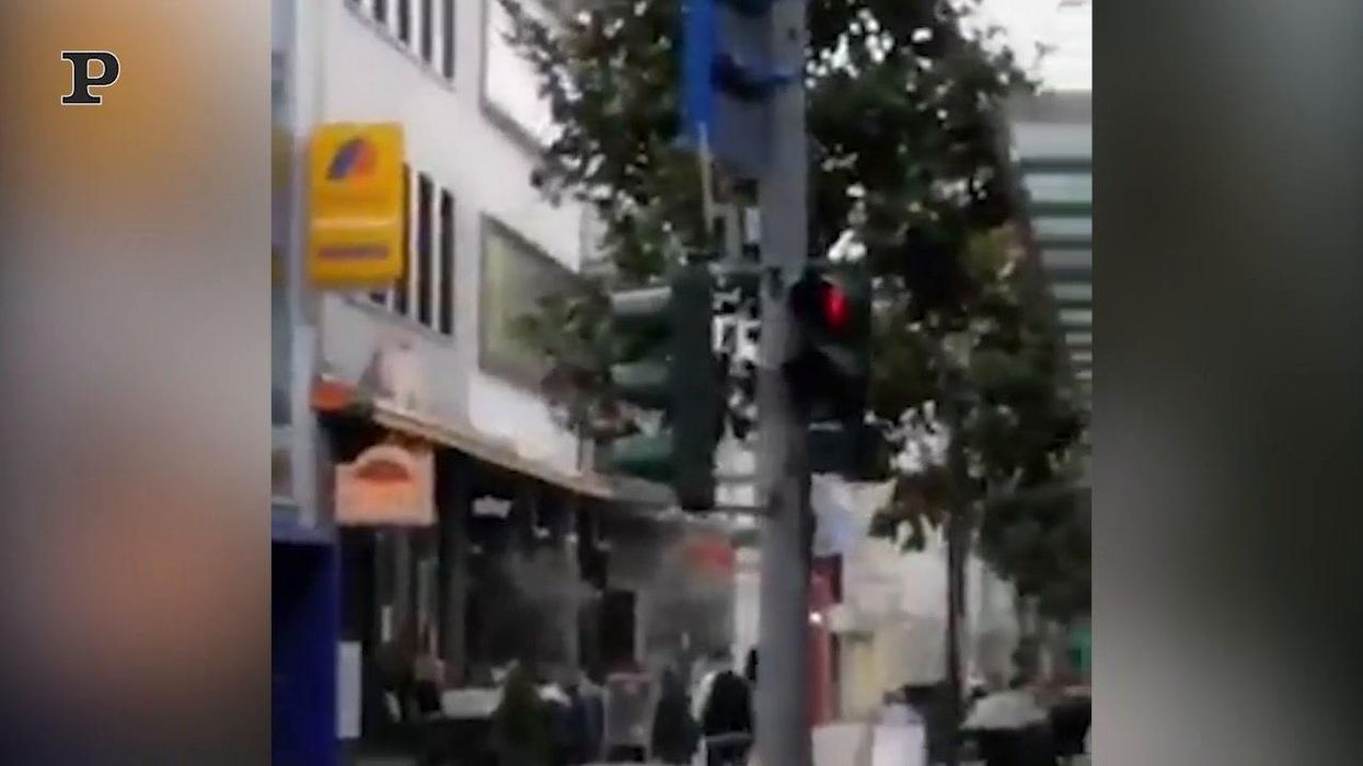 Stormo di anatre attraversa la strada rispettando il semaforo | video