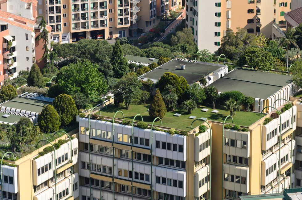 Francia "green", d'ora in poi solo case con giardino (sul tetto)