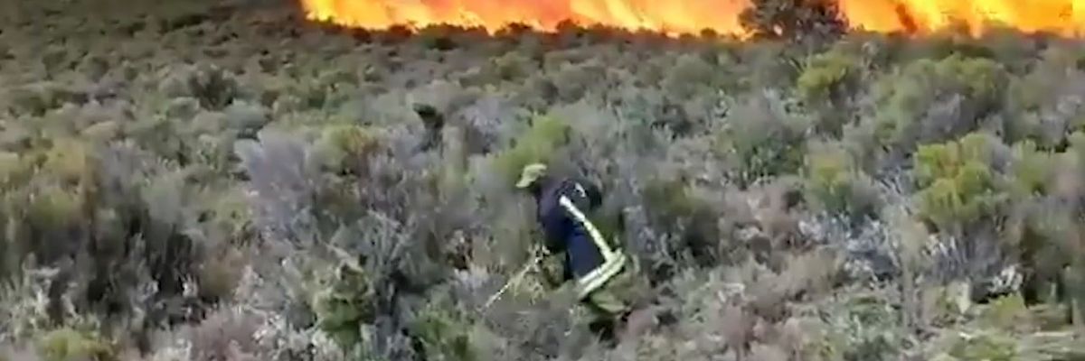 Tanzania, incendio spaventoso sul Kilimangiaro | video