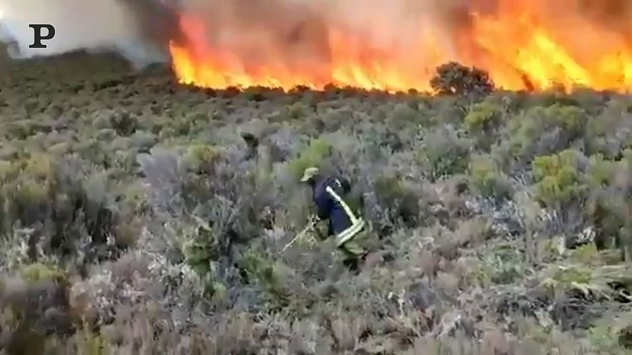 Tanzania, incendio spaventoso sul Kilimangiaro | video