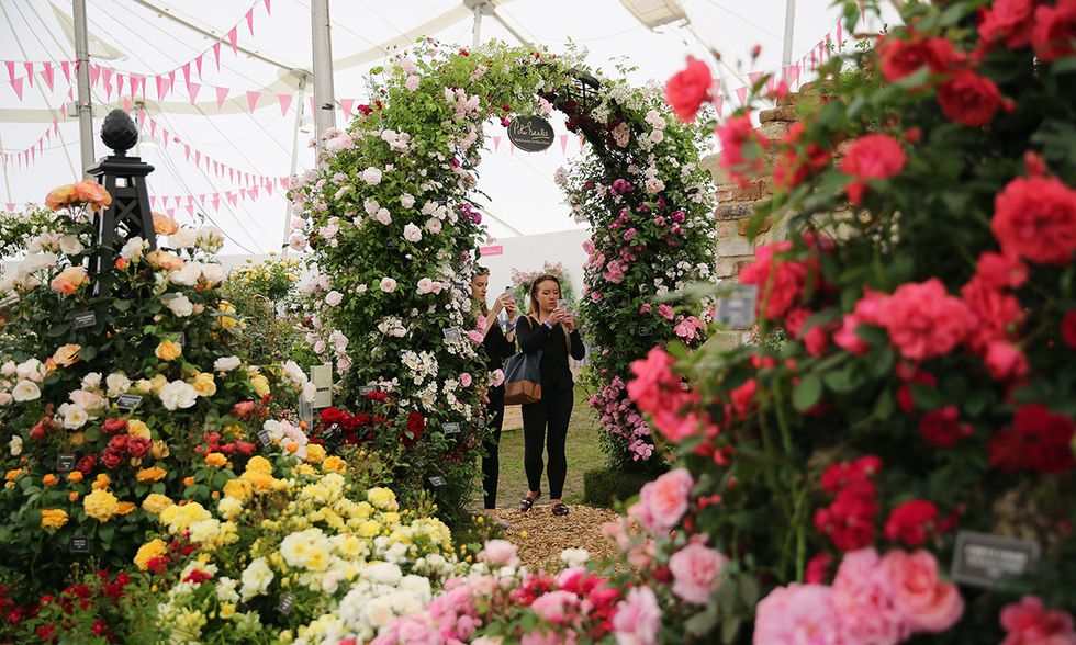 The Hampton Court Flower Show 2016