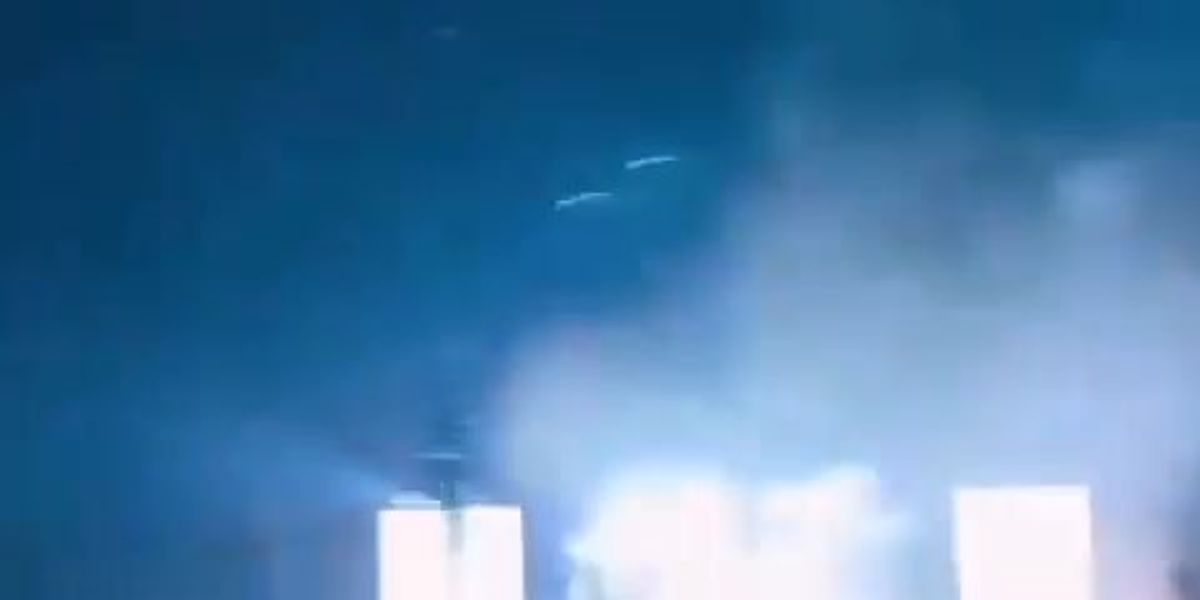 Travis Scott, persone del pubblico usano spray al peperoncino al concerto a Roma | video