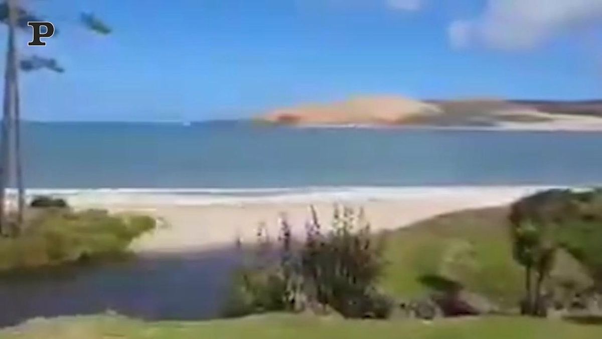 Nuova Zelanda, allarme tsunami: sisma di magnitudo 8.1 | video