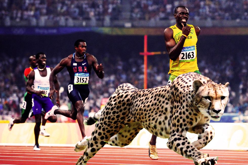 Olimpiadi. Animale batte uomo