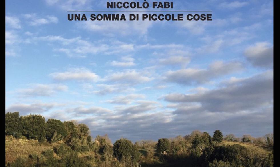 Un particolare della copertina di "Una somma di piccole cose" di Niccolò Fabi