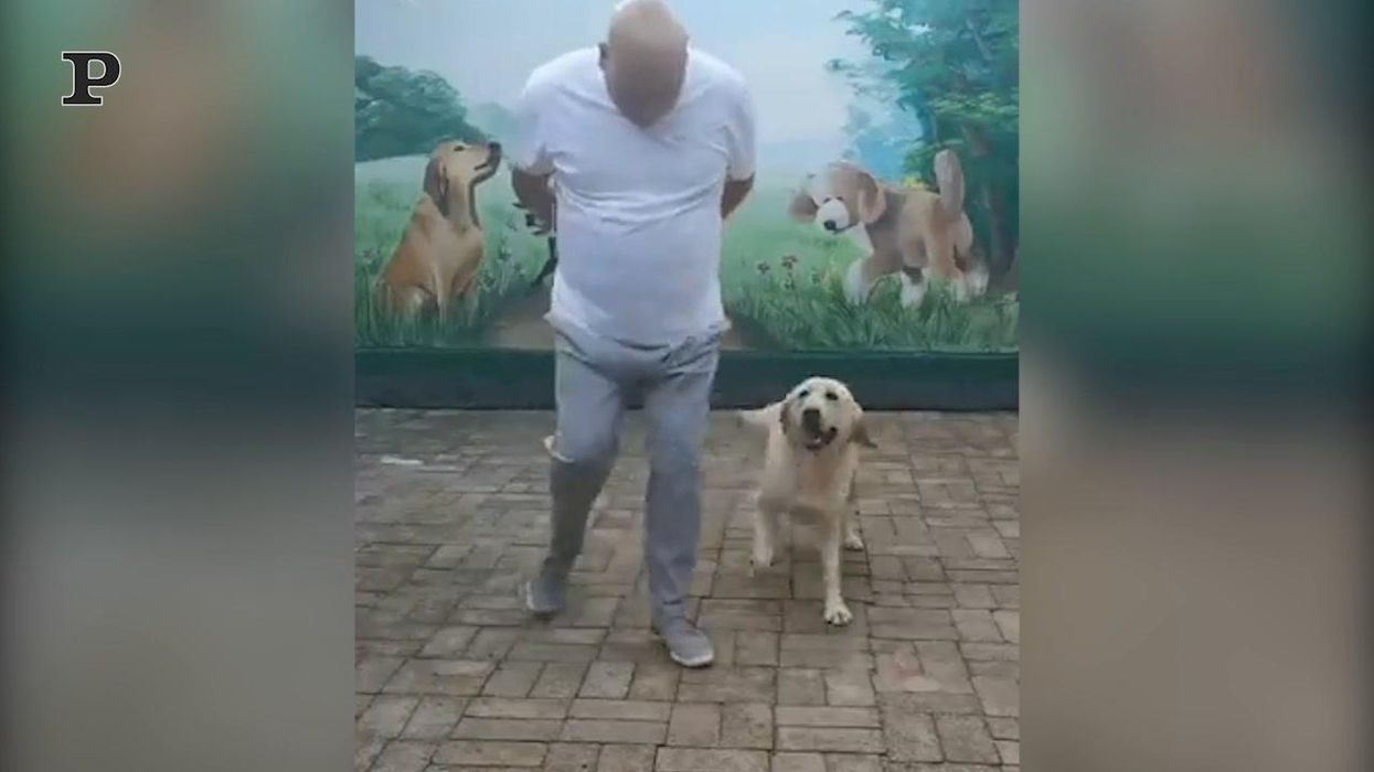 Un simpatico balletto tra un cane ed il suo padrone | video