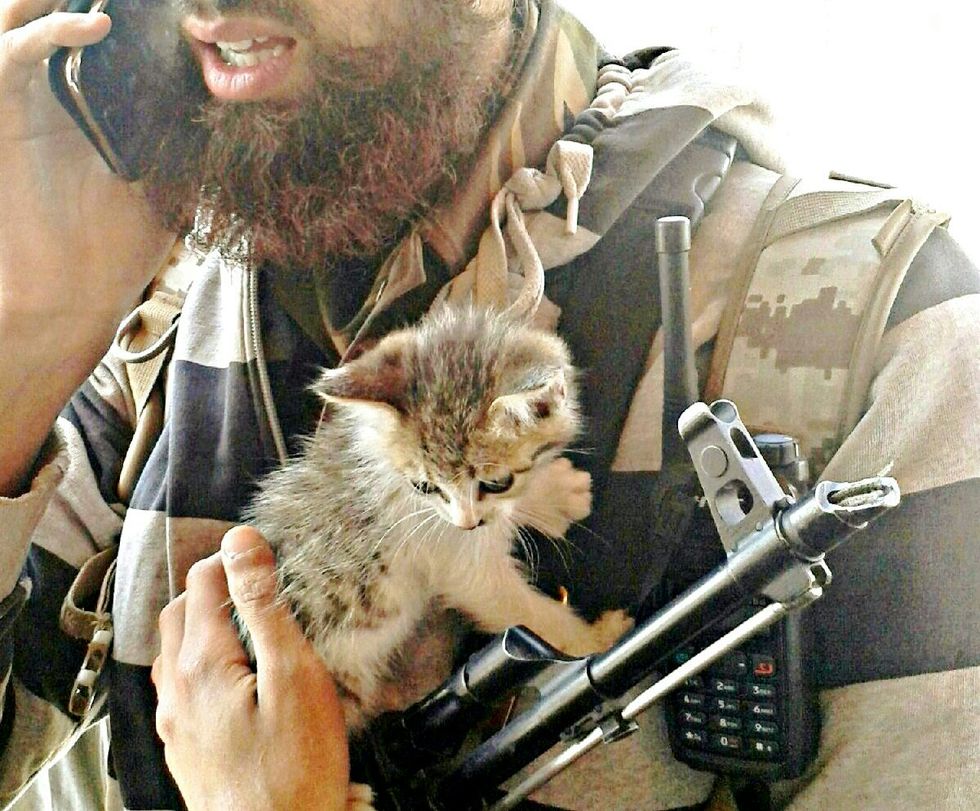 La propaganda Isis tra gattini e decapitazioni