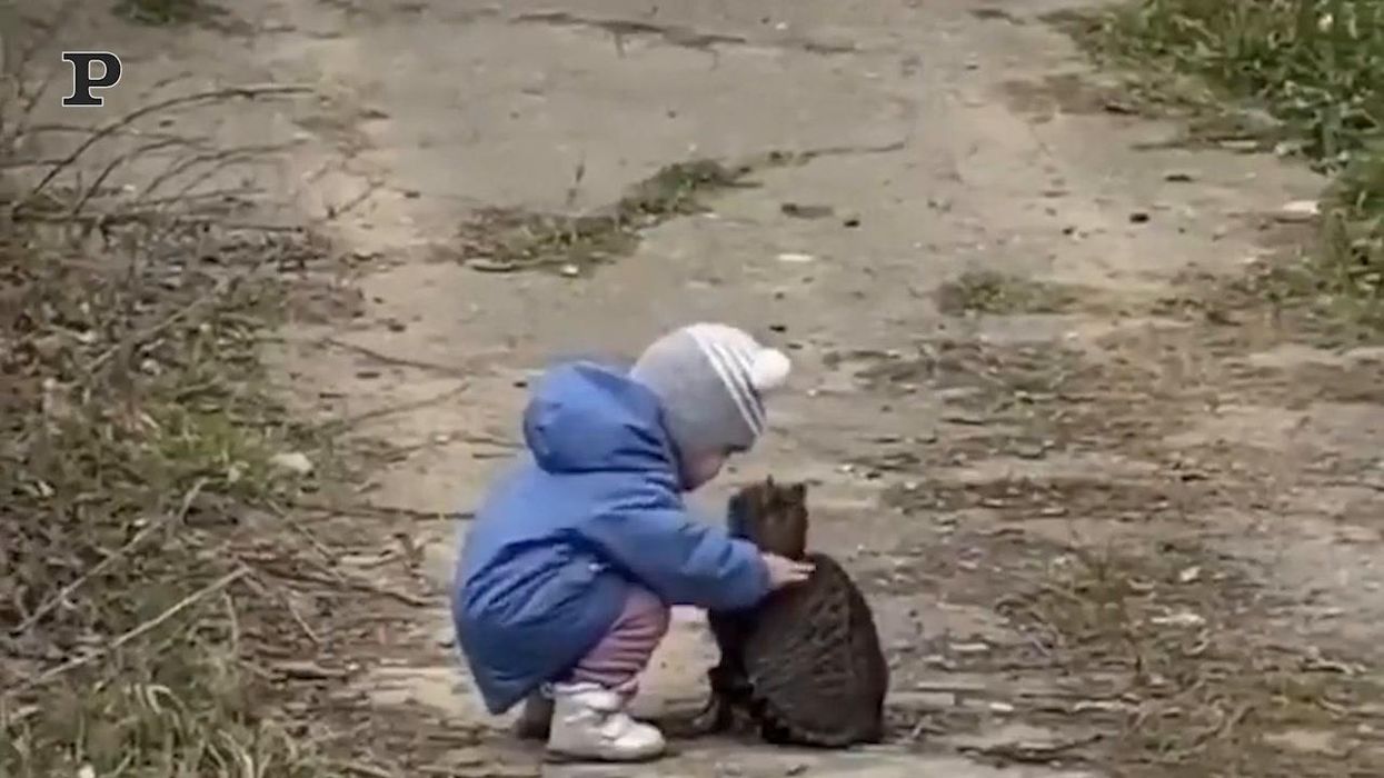 Una bambina incontra per la prima volta un gatto | Video
