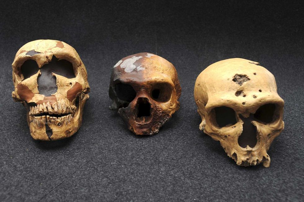 uomo-Neanderthal-cause-estinzione