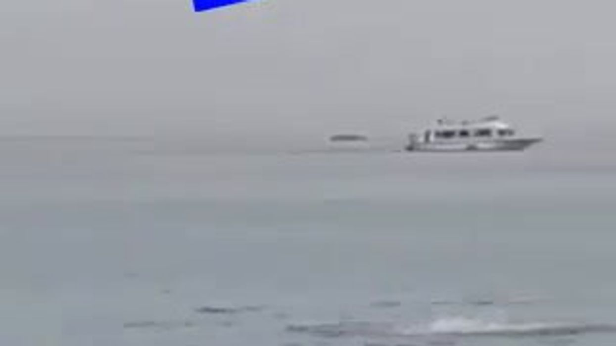 Egitto: squalo attacca ed uccide turista in mare ad Hurghada, Mar Rosso | video
