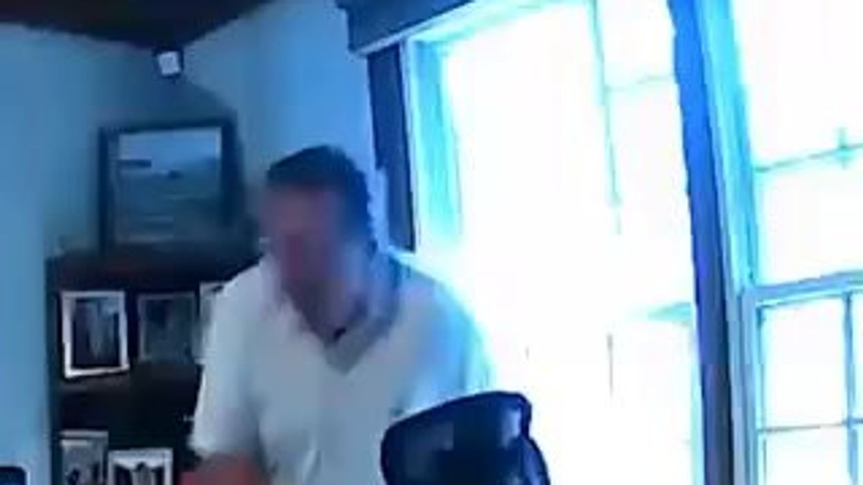 Scoiattolo entra in ufficio e manda nel panico un uomo | video