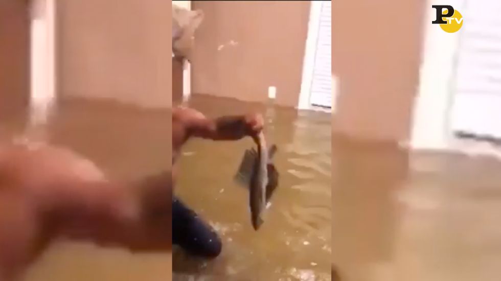 uragano harvey uomo pesca pesce casa allagata