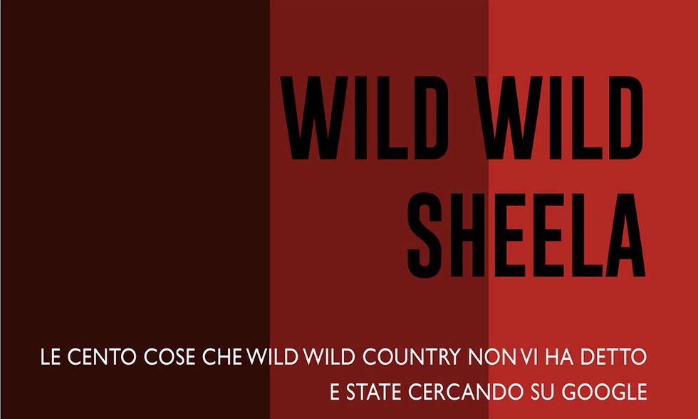 Wild Wild Sheela di Roberta Lippi